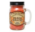 OUR OWN CANDLE 1CT | FRESH PEACH